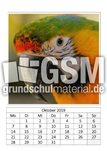 Oktober_Gelbbrust-Ara.pdf